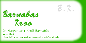 barnabas kroo business card